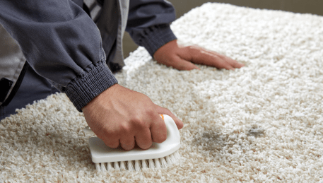 Professional Rug Cleaning Mitchell Park