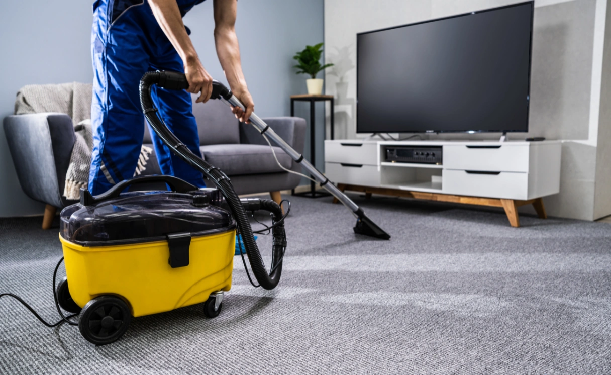 Extract Rug Cleaning Mitchell Park Contact Office